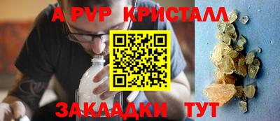 прущие крисы Кингисепп