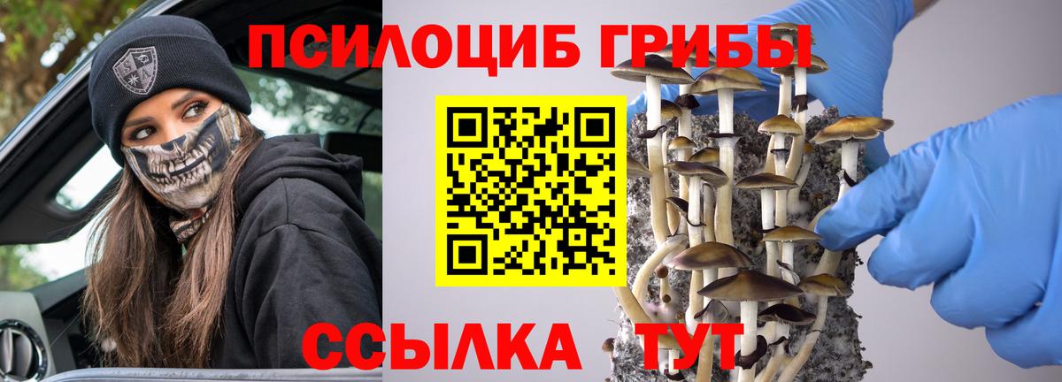 наркотики  Вход с VPN  Краснокаменск  Псилоцибиновые грибы GOLDEN TEACHER 