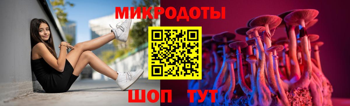 Галлюциногенные грибы Psilocybine cubensis Краснокаменск